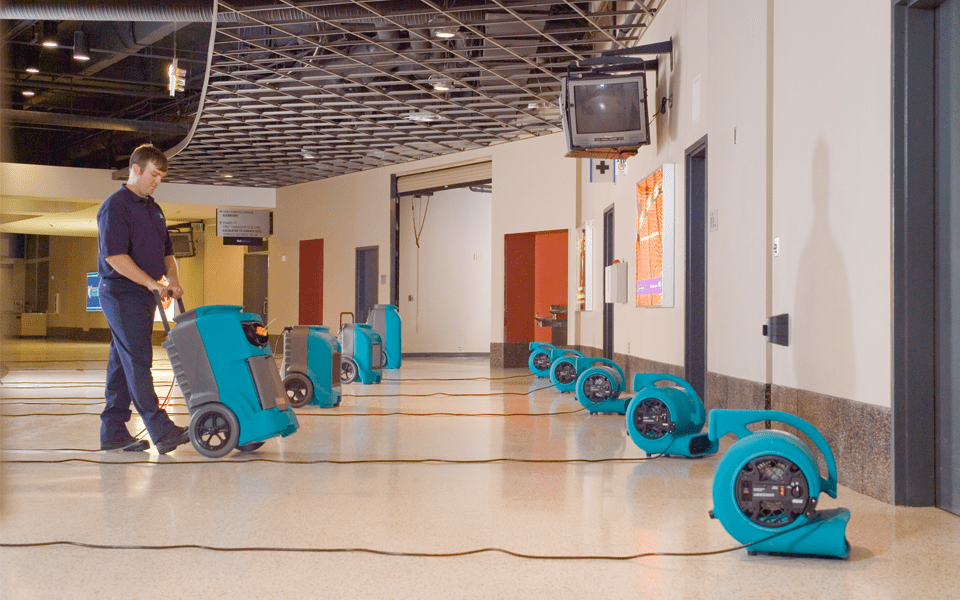 Carpet Cleaning Lake Forest Lake Forest Carpet Cleaners, Water Damage Restoration and Mold